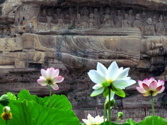 C视觉“视·周刊”(105)（6月21日-6月27日）